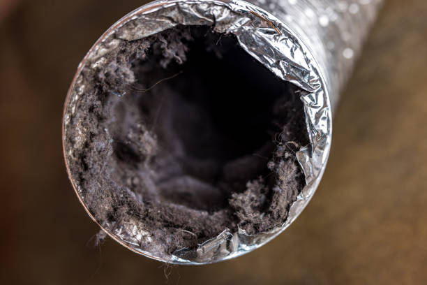 Best Commercial Air Duct Cleaning  in Chapel Hill, NC